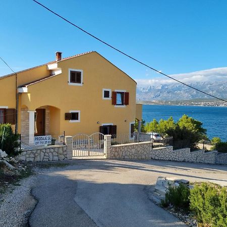 Apartments Mikecin Novigrad  Exterior photo