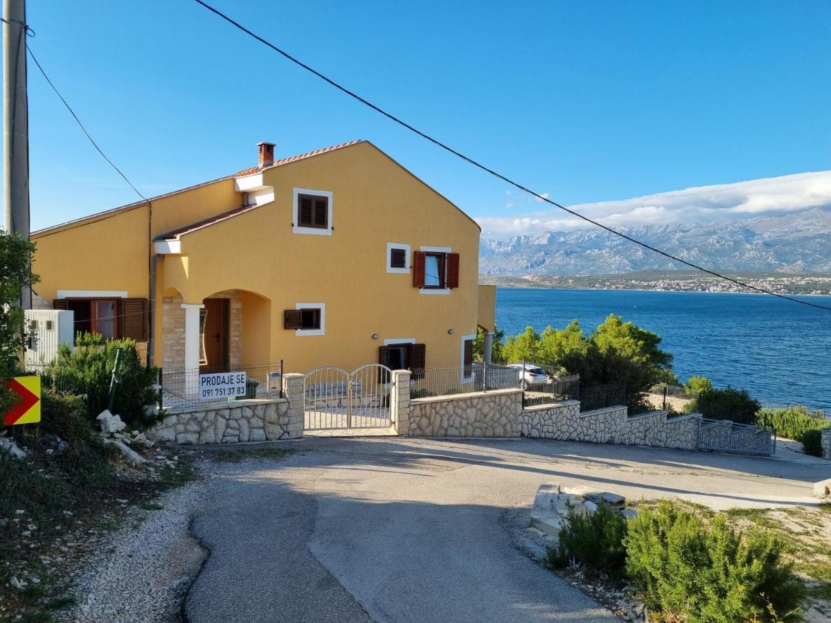 Apartments Mikecin Novigrad  Exterior photo