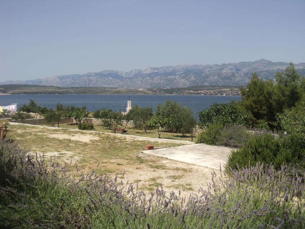 Apartments Mikecin Novigrad  Exterior photo
